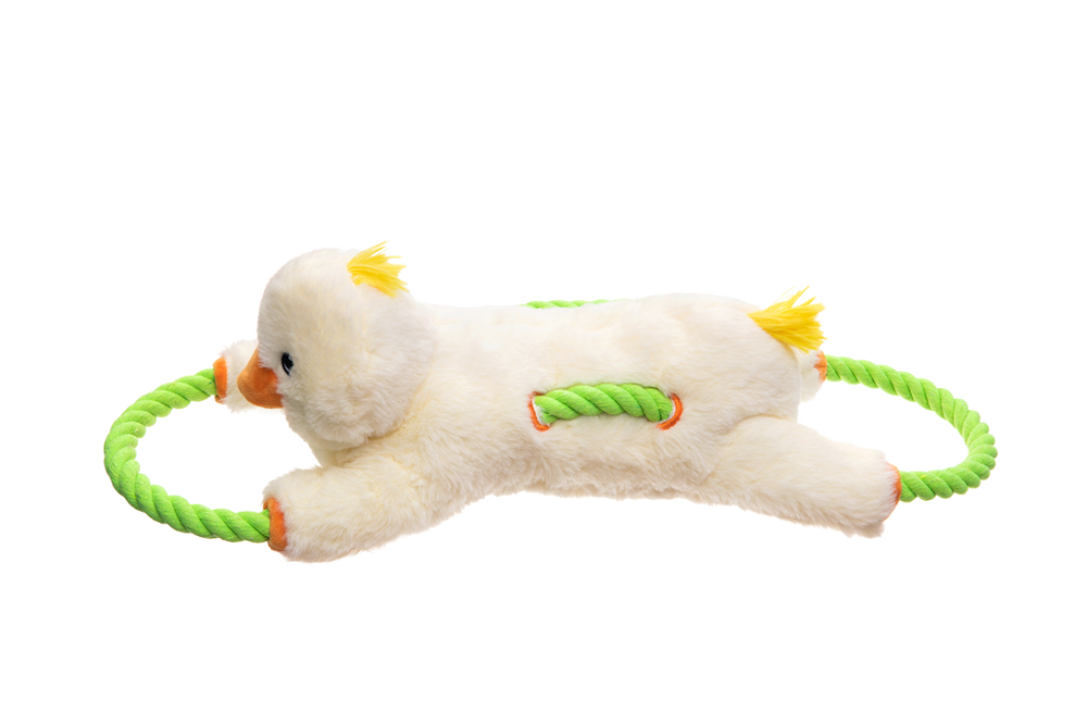 Growl Haystackerz Quacker de Eend