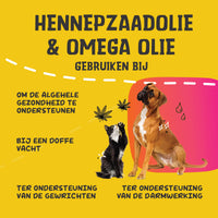 Excellent Pets HempOne + Omega Oil 100 ml