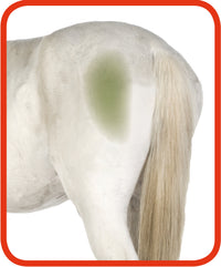 Excellent Horse Hi Gloss Clean Spray 500 ml