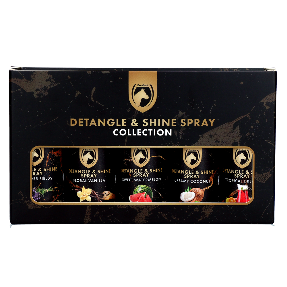 Detangle & Shine Spray Geschenkset 5 x 50 ML