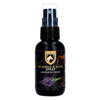 Detangle & Shine Spray Geschenkset 5 x 50 ML