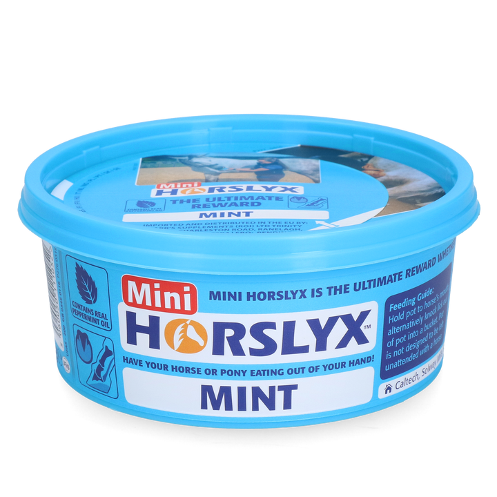 
  Horslyx Mini Mint - artikelnummer HORSL011
