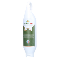 Ice Mint Pro Gel Sta- / Hangtube 1 l