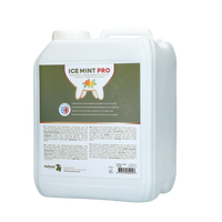 Ice Mint Pro Gel 2,5 l incl. dosator