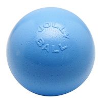 Jolly Bounce-n Play Bosbessen L (20 cm)