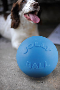 Jolly Bounce-n Play Bosbessen L (20 cm)