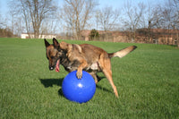 Jolly Push-n-Play Blauw M (15 cm)