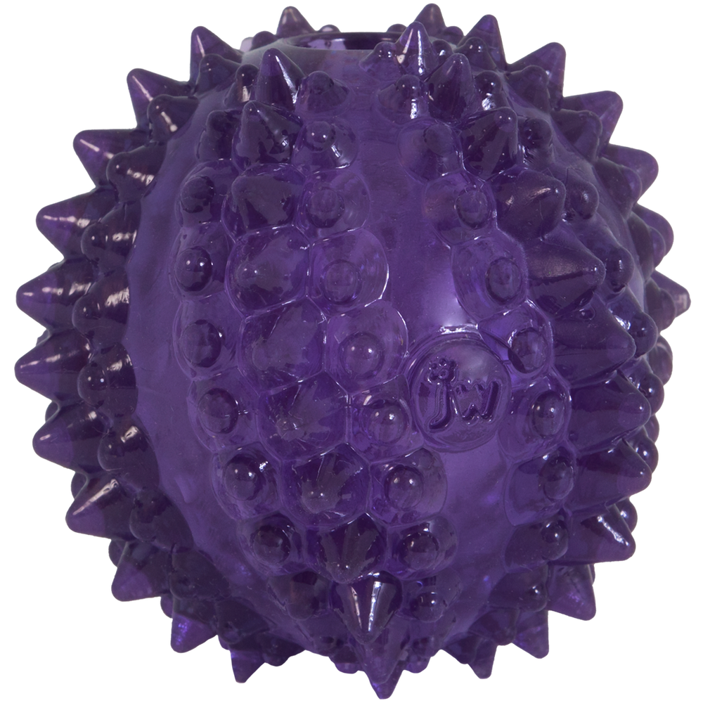 JW Puppy - Bristl-ee Cactus Ball