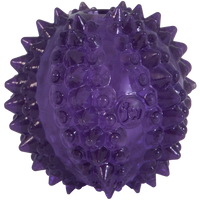 JW Puppy - Bristl-ee Cactus Ball