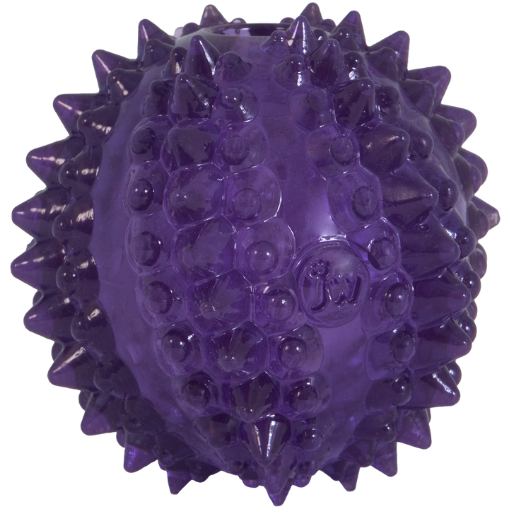 
  JW Puppy - Bristl-ee Cactus Ball - artikelnummer JW60636
