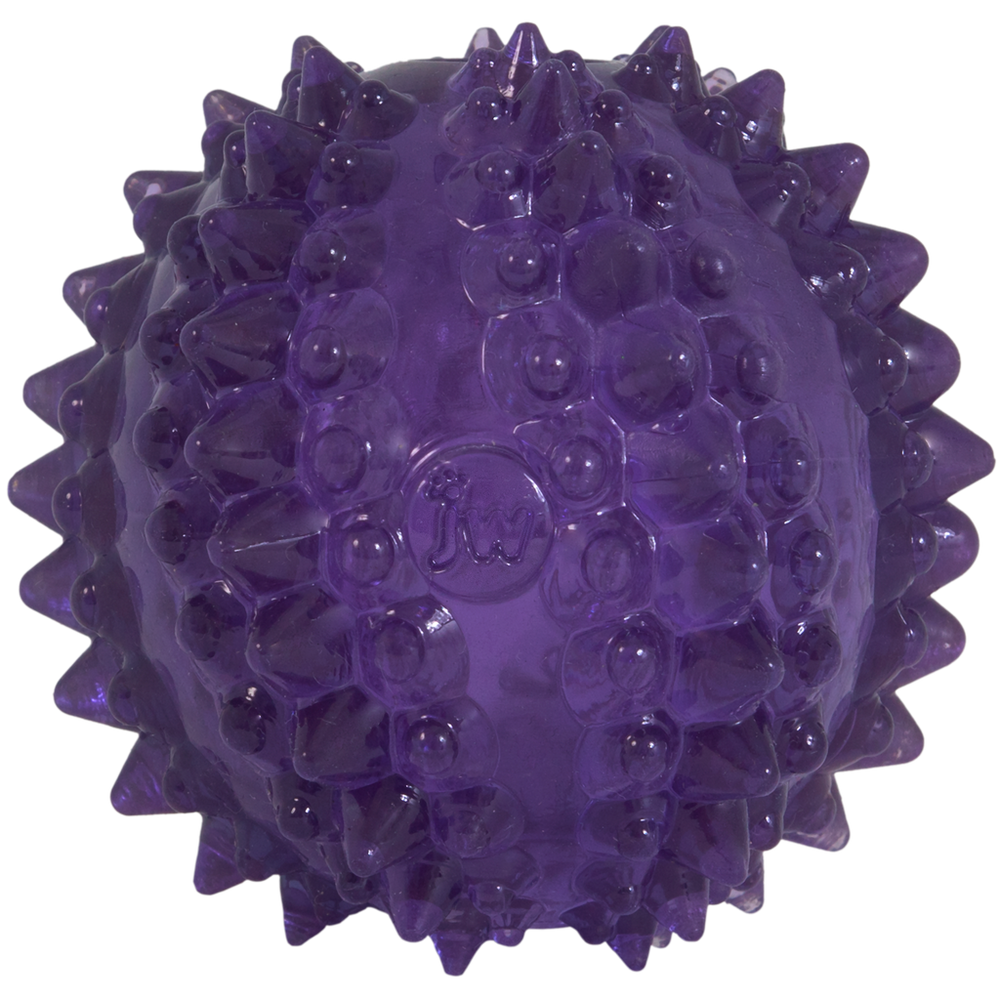 JW Puppy - Bristl-ee Cactus Ball
