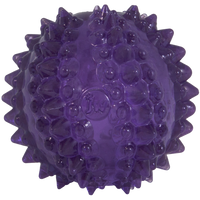 JW Puppy - Bristl-ee Cactus Ball