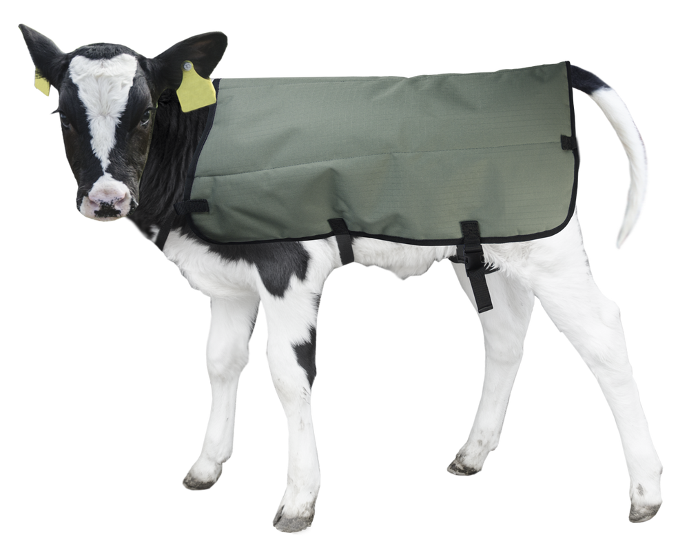 Calf Coat Kalverdek 70 cm
