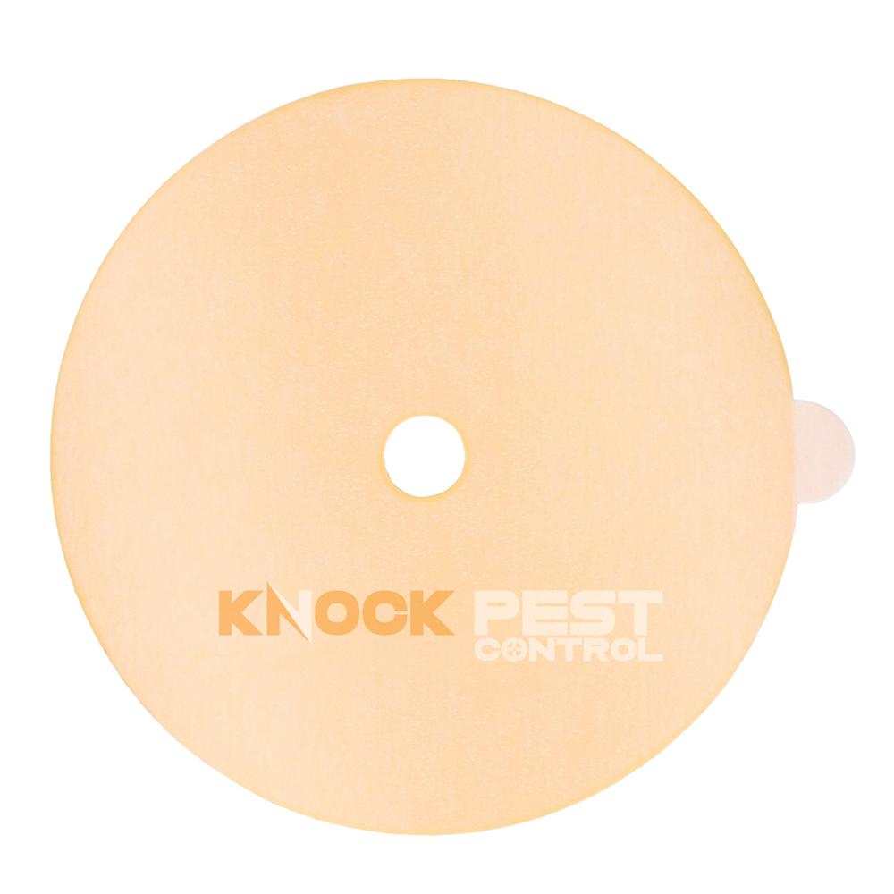 Knock Pest Lijmplaat voor Insectenval