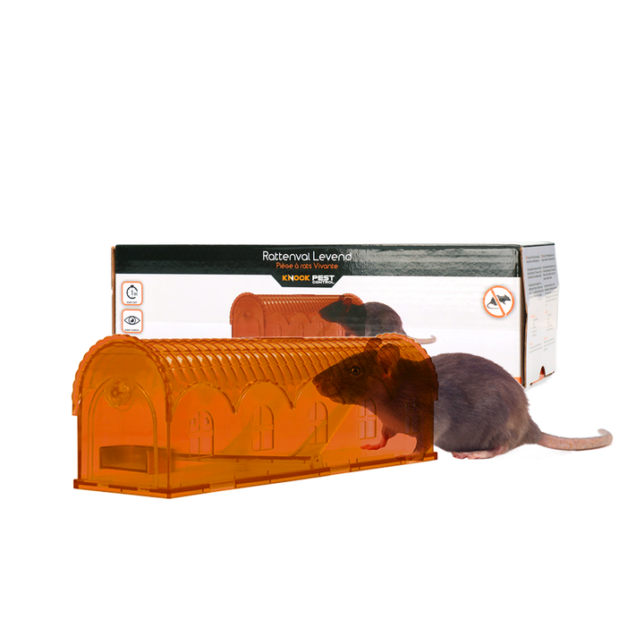 
  Knock Pest Rattenval Levend - artikelnummer KNOC00144
