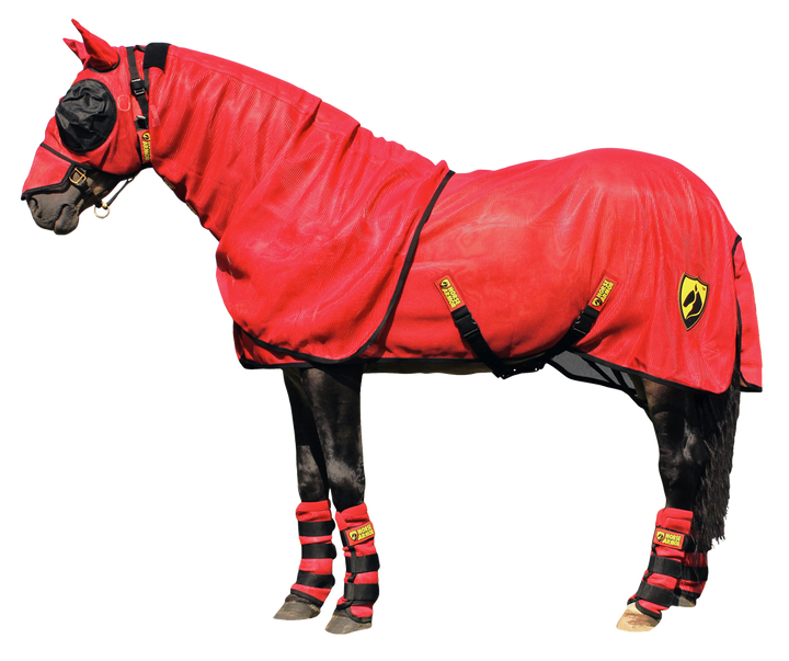 
  Horse Armor Knockdown Vliegendeken 191 cm - artikelnummer KNOC00191
