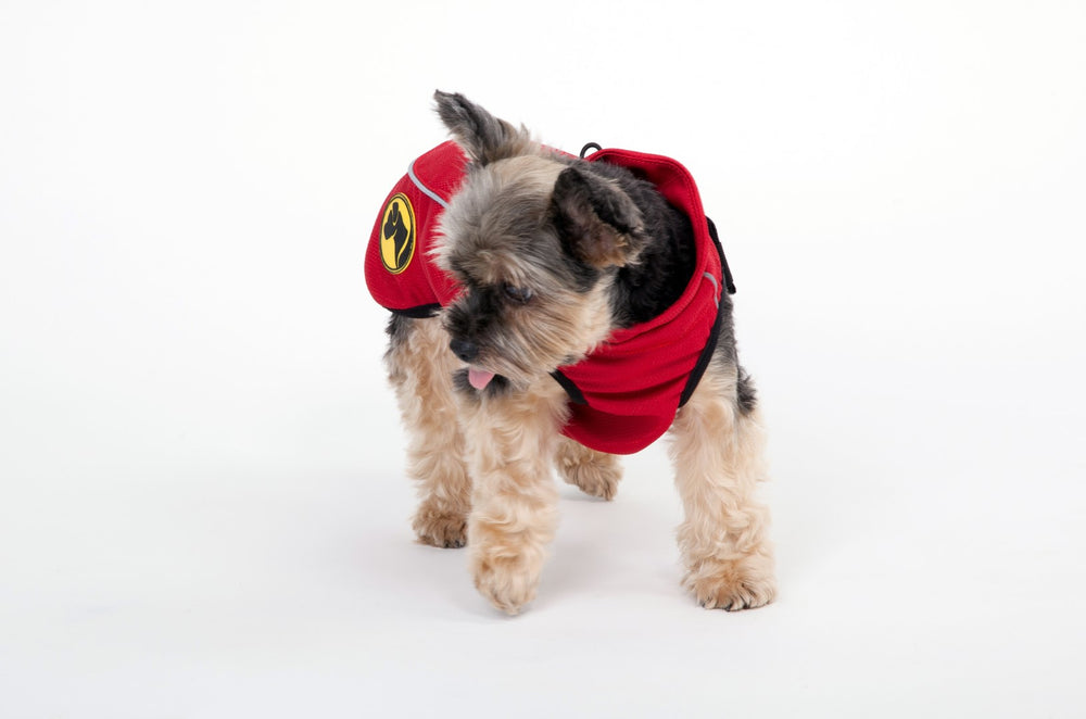 Dog Armor Knockdown Coat (Insect Shield) XXXXS (20cm ruglengte)