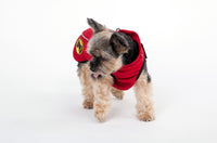 Dog Armor Knockdown Coat (Insect Shield) XXXXS (20cm ruglengte)