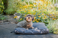 Let's Sleep Cushy Cloud Hondenkussen Buiten M Antraciet