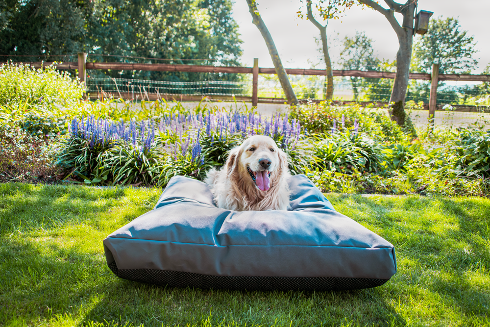Let's Sleep Cushy Cloud Hondenkussen Buiten M Antraciet