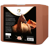 Excellent Horse Salt Lick Himalaya Rund/Paard/Schaap 10 kg (GMP+)