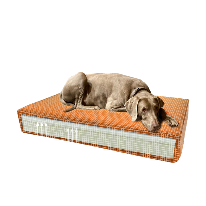 
  Madison Orthopedisch Kussen Velvet Oranje S - artikelnummer MADI0901
