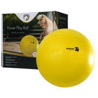 Maximus Power Play Ball 65 cm