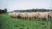 Euro-Netz 106 cm dubbelpunt