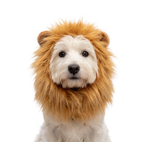 Oranje Manen Tooi M