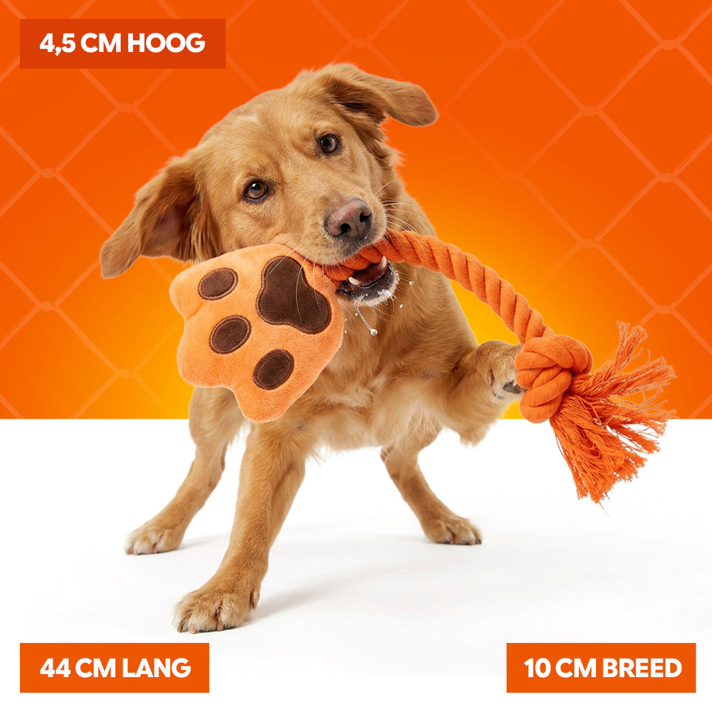 Oranje High Five