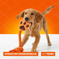 Oranje High Five