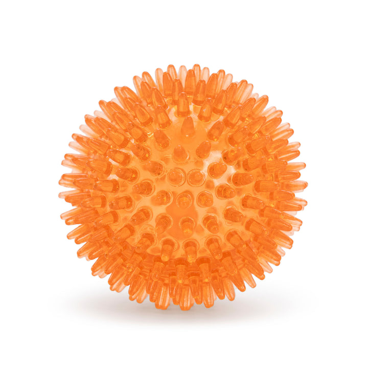
  Oranje Egelbal M - artikelnummer ORAN0013M
