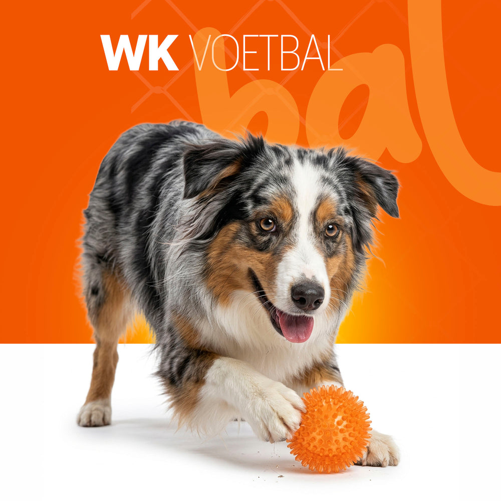 Oranje Egelbal M