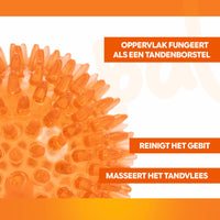 Oranje Egelbal M