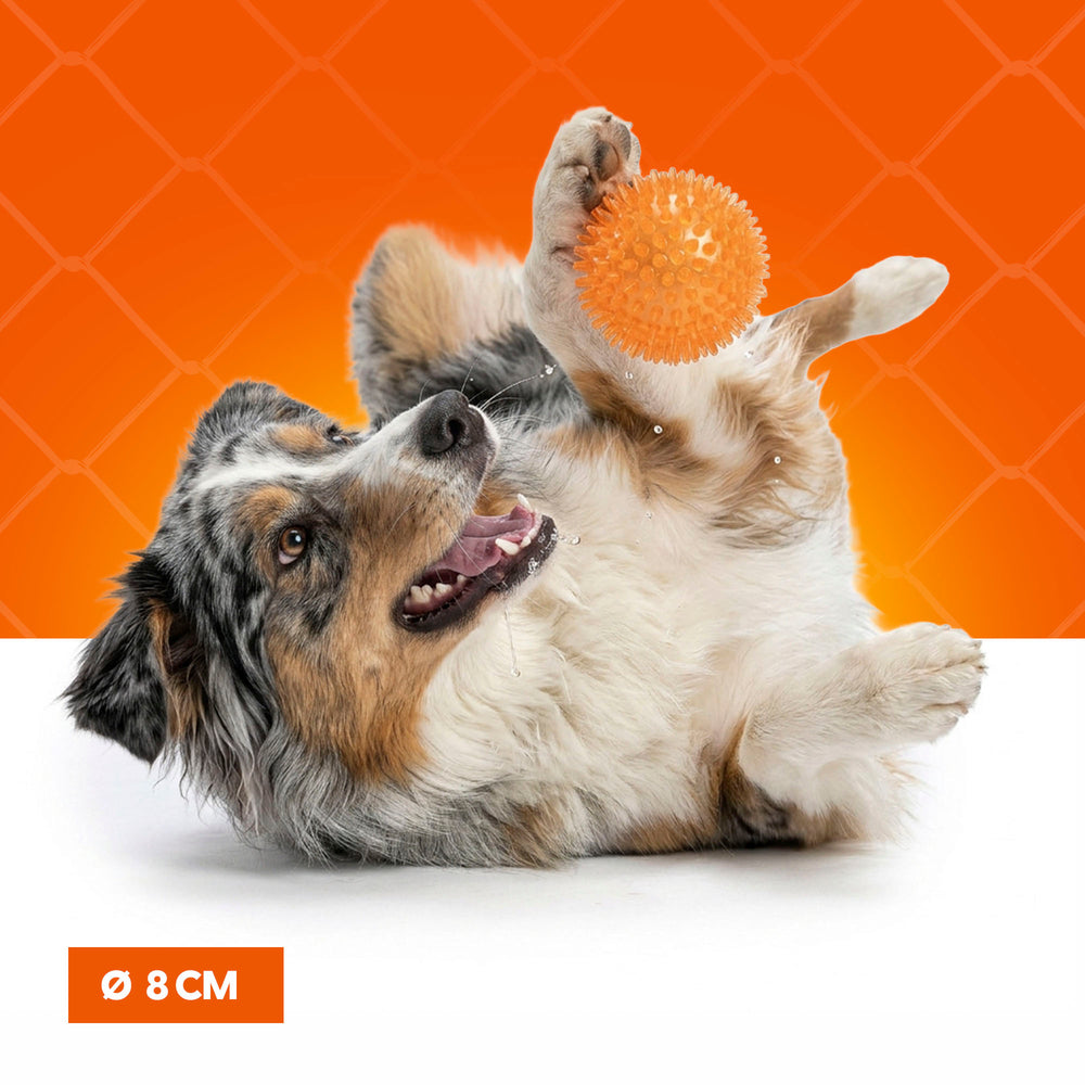 Oranje Egelbal M