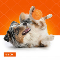 Oranje Egelbal M