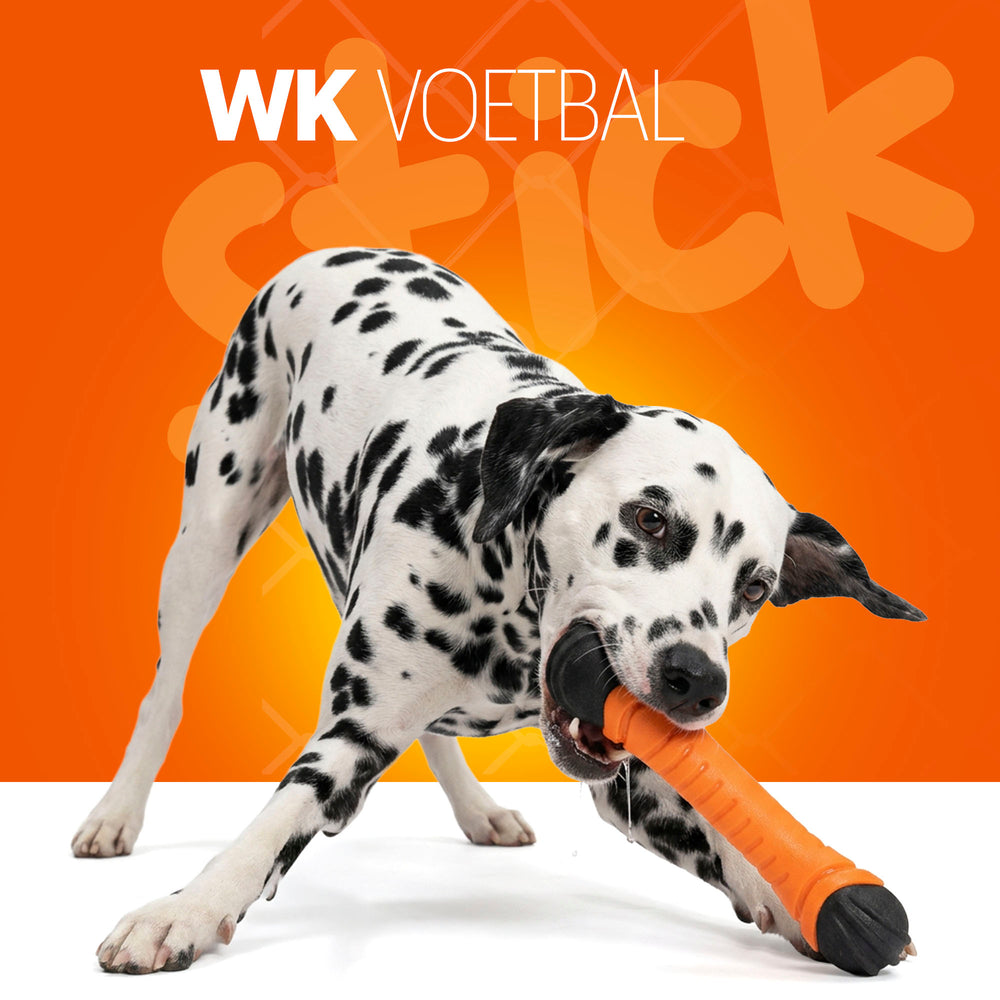 Oranje Apporteerstick S