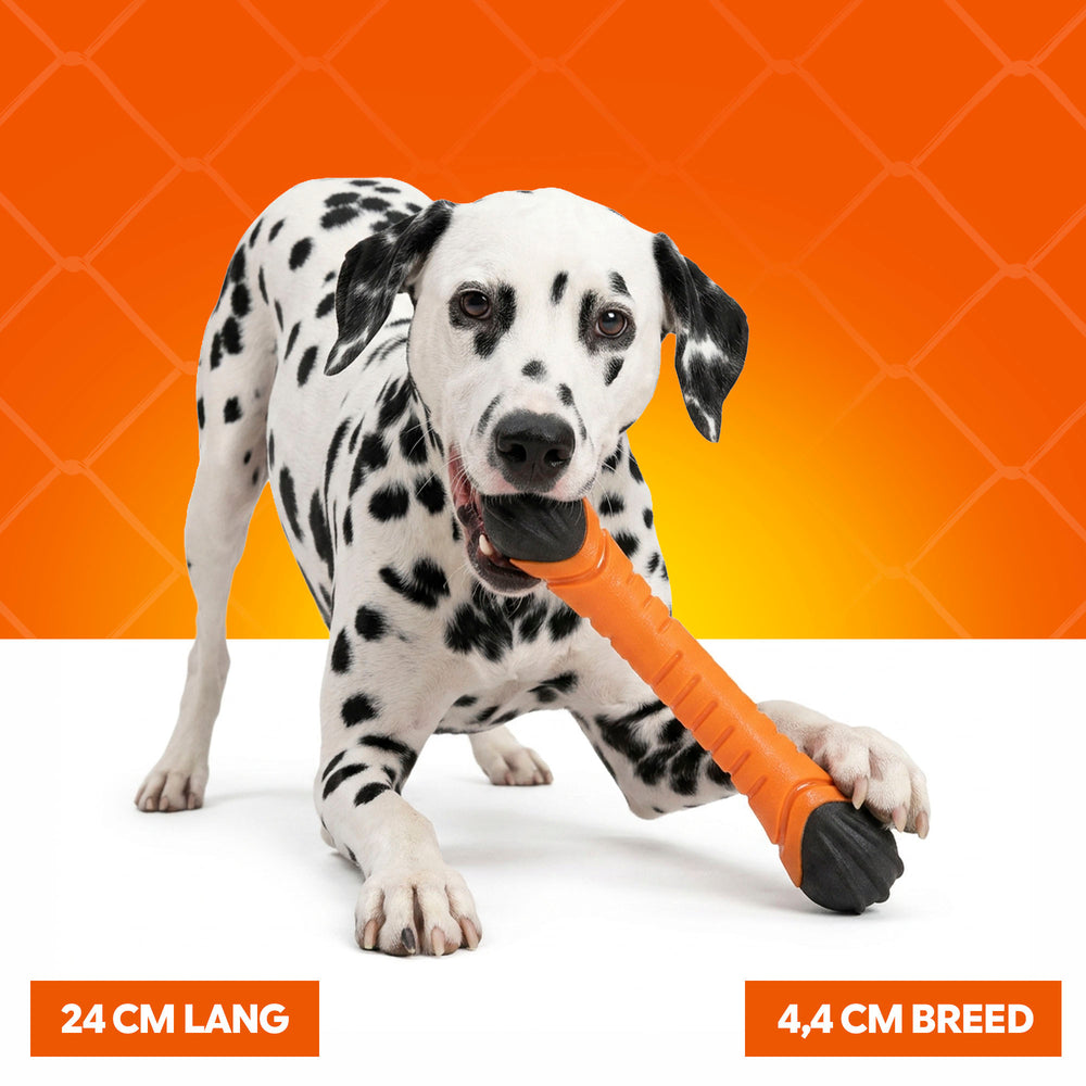 Oranje Apporteerstick S