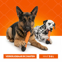 Oranje Apporteerstick S