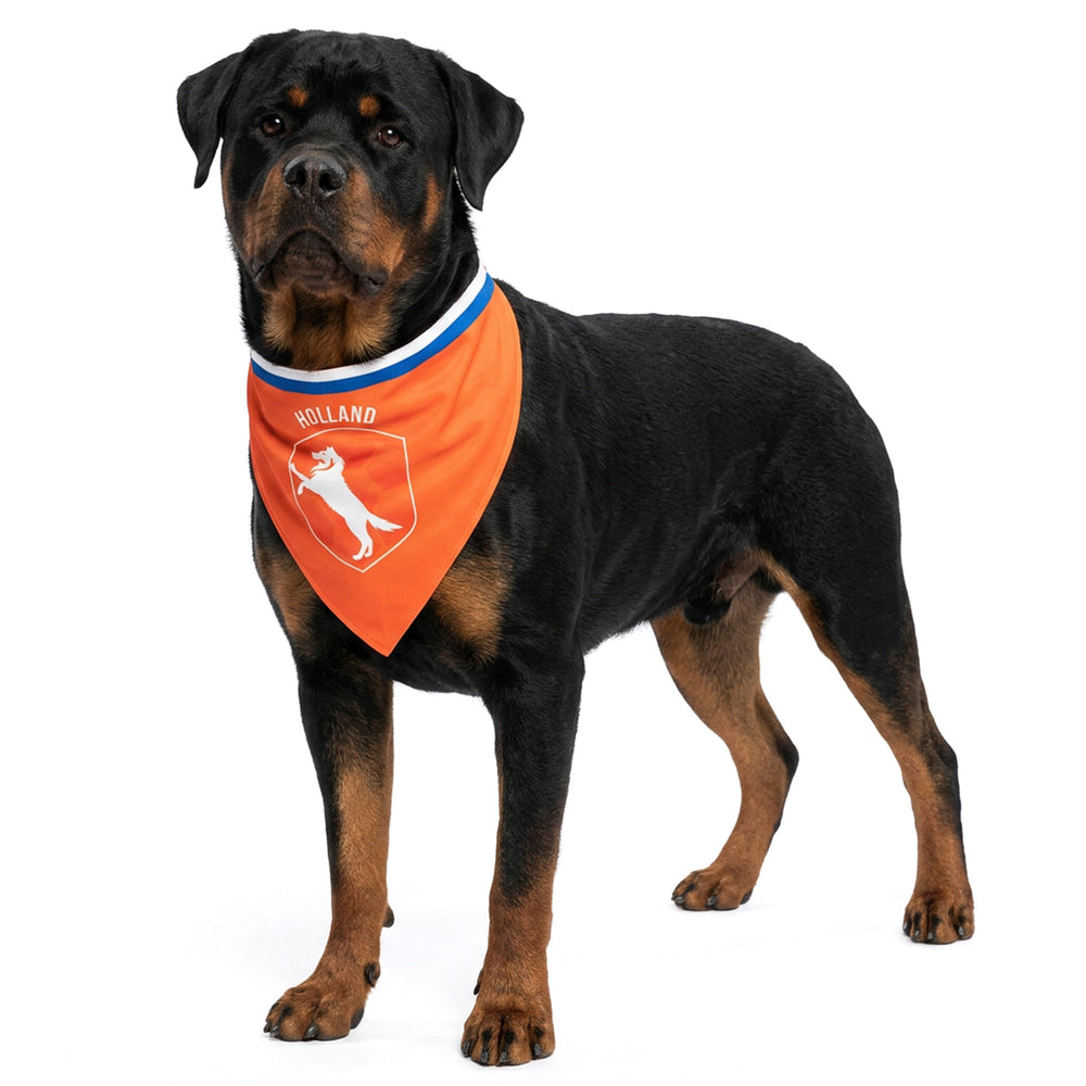 Oranje Bandana Holland L