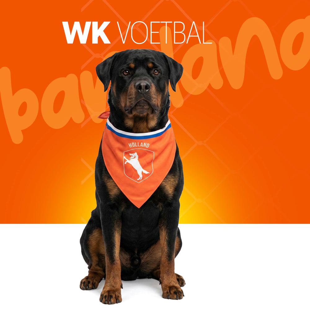Oranje Bandana Holland L