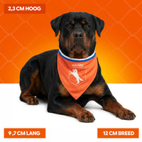 Oranje Bandana Holland L