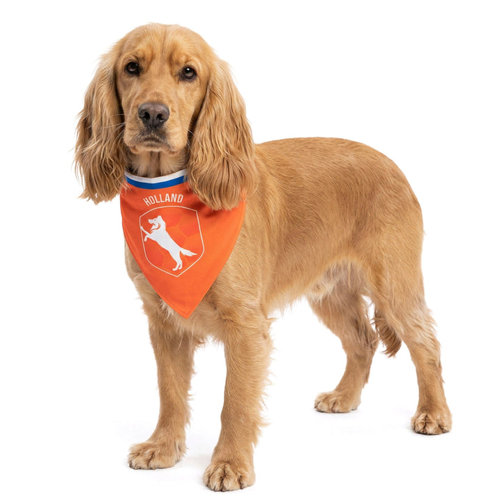 
  Oranje Bandana Holland M - artikelnummer ORAN0017M
