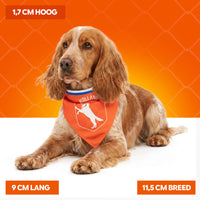 Oranje Bandana Holland M