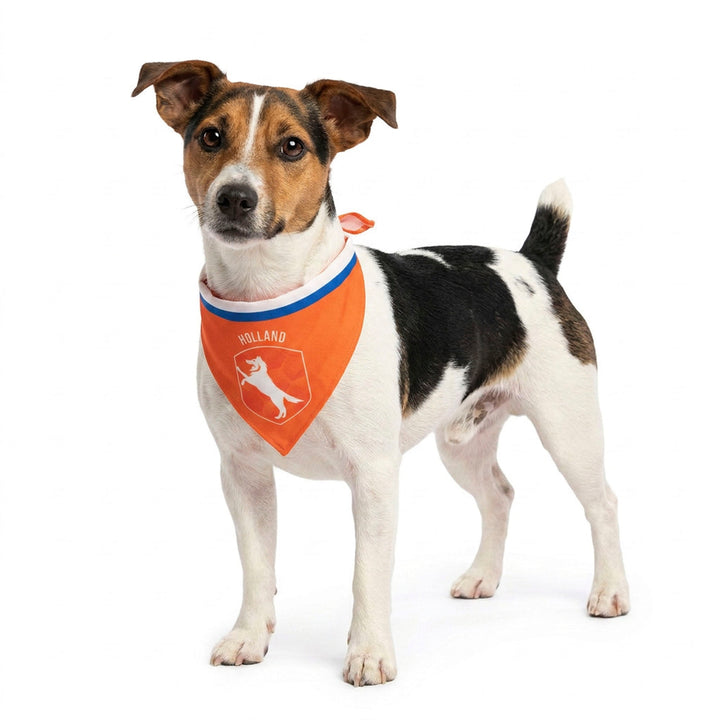 
  Oranje Bandana Holland S - artikelnummer ORAN0017S
