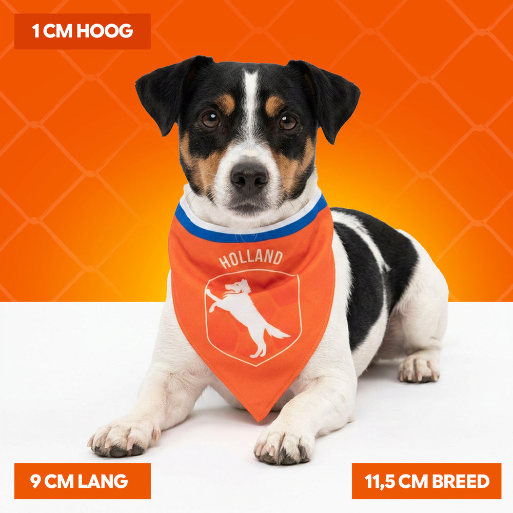 Oranje Bandana Holland S