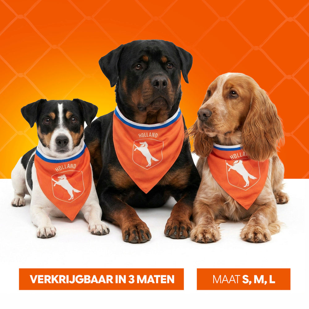 Oranje Bandana Holland S
