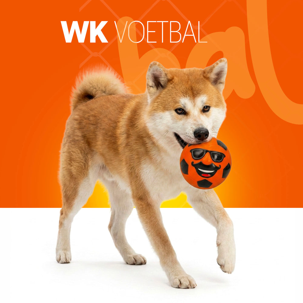 Oranje Mr. Dutch L