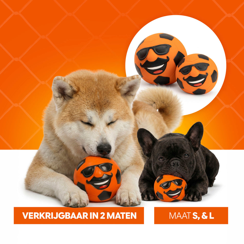 Oranje Mr. Dutch L
