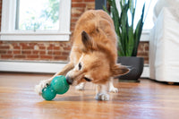 Outward Hound Double-Tuff M Blauw